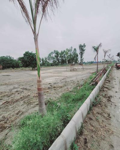 Elevation times-rolex-farms-and-resorts Elevation