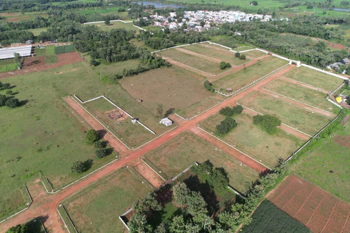  nandanavanam visishta Plot