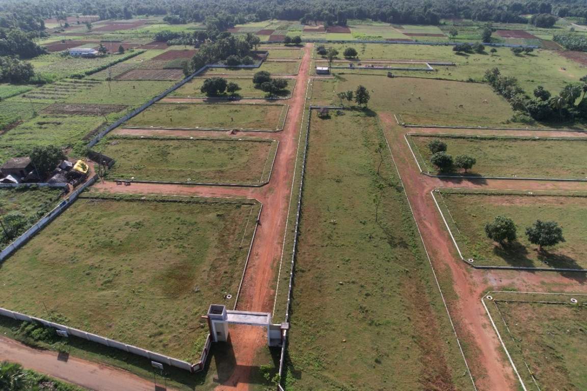 nandanavanam visishta Plot
