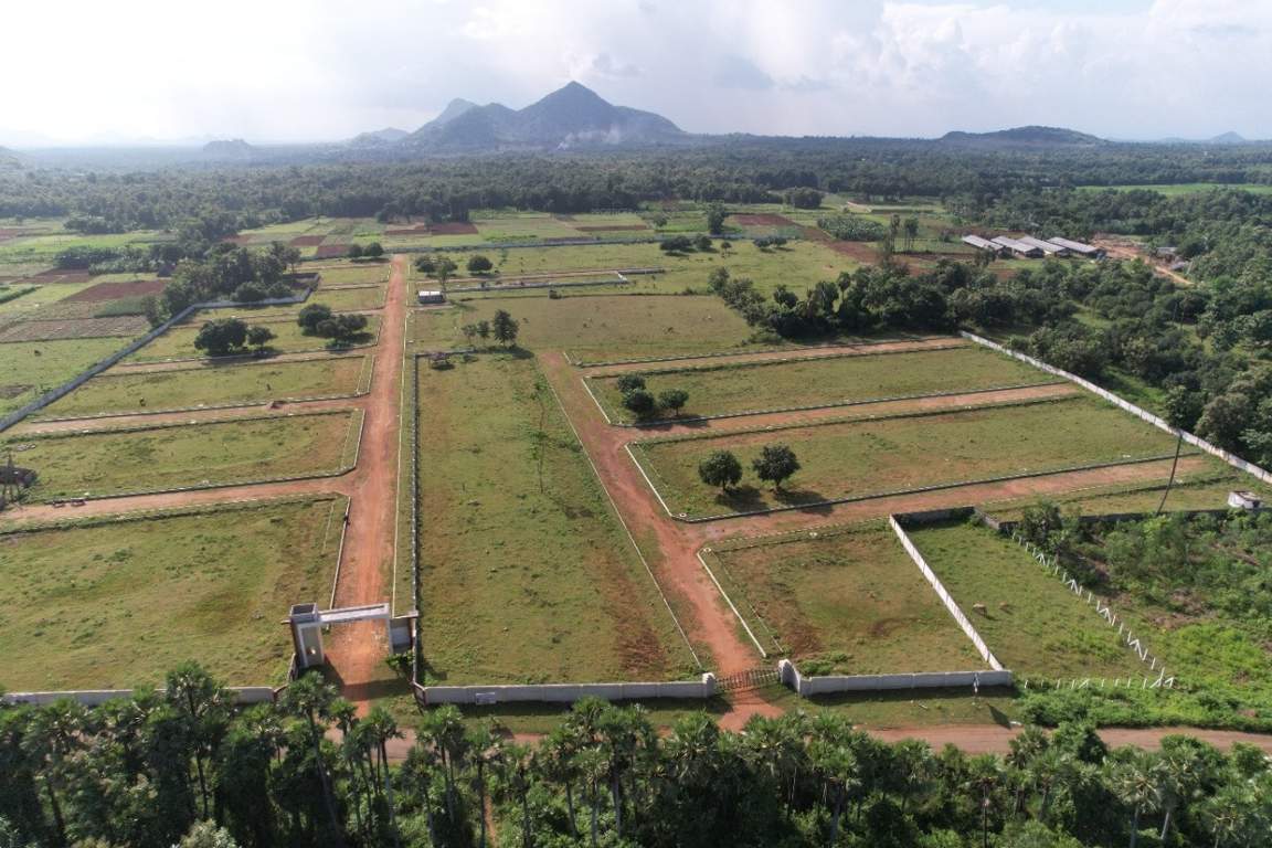  nandanavanam visishta Plot