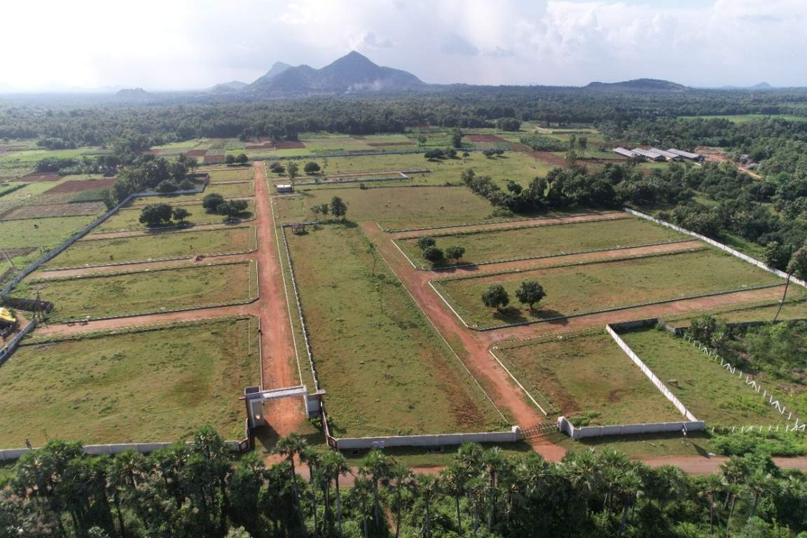  nandanavanam visishta Plot
