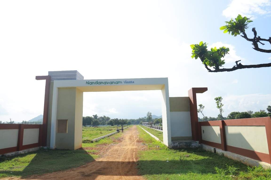  nandanavanam visishta Plot