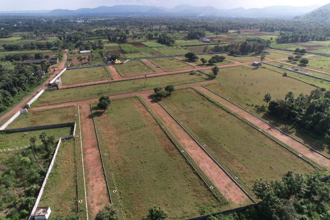  nandanavanam visishta Plot