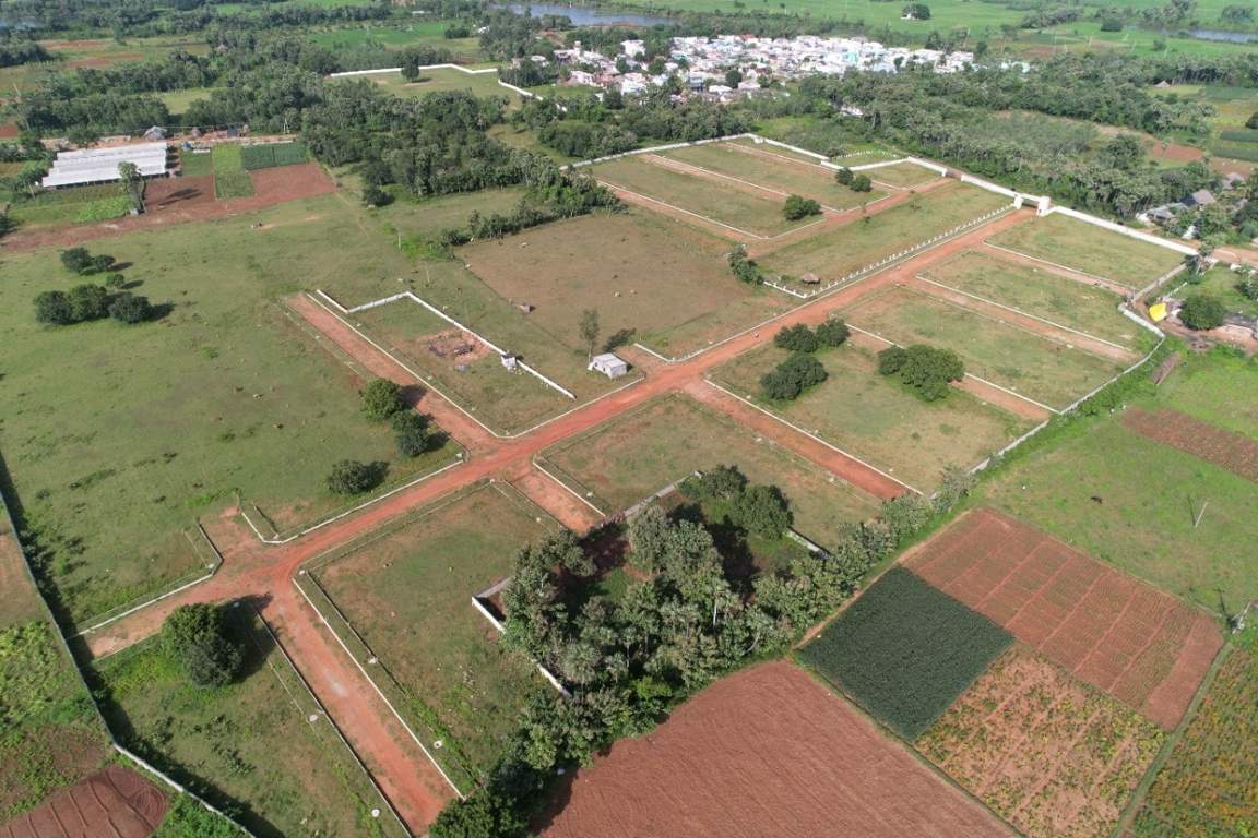  nandanavanam visishta Plot