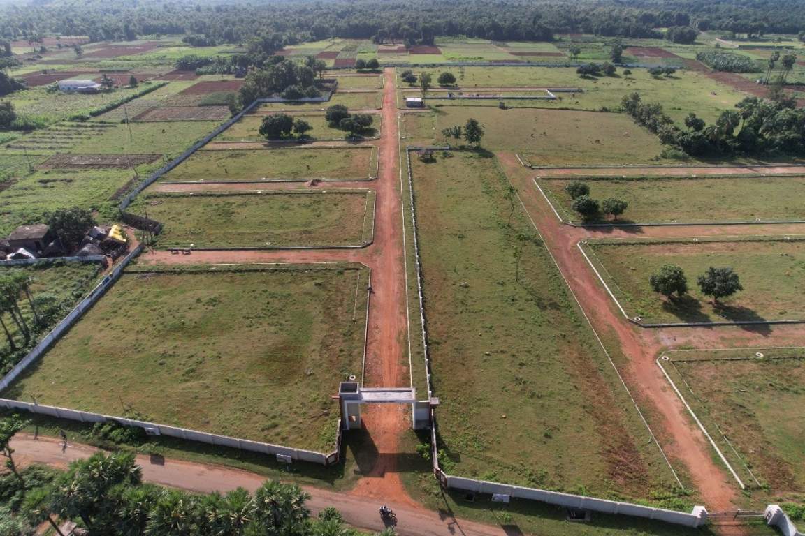  nandanavanam visishta Plot