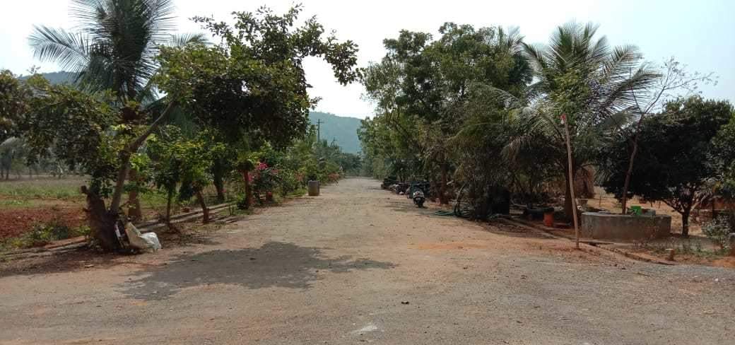  nandanavanam visishta Plot