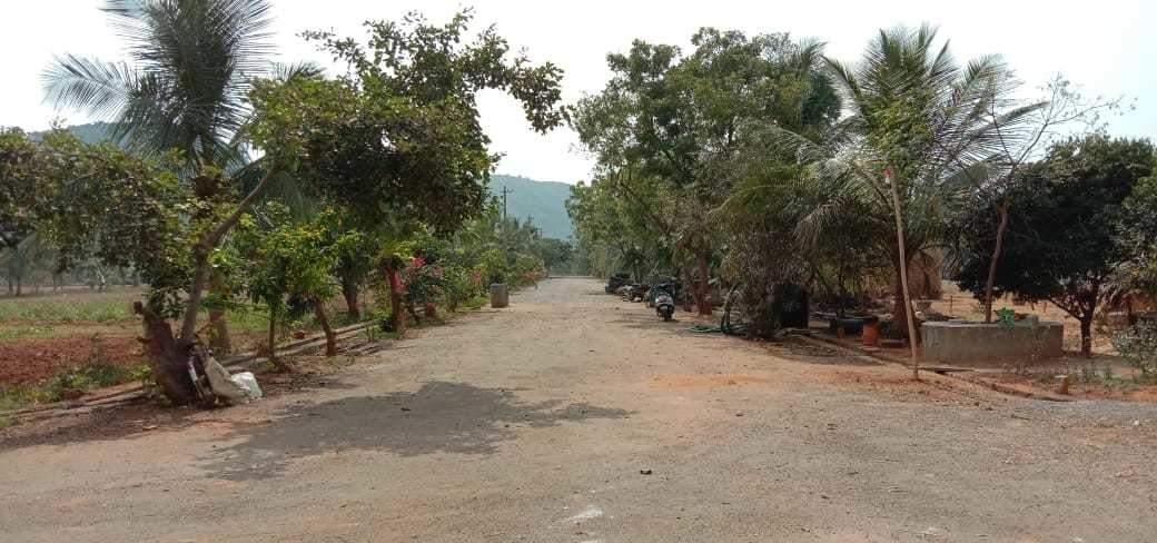  nandanavanam visishta Plot