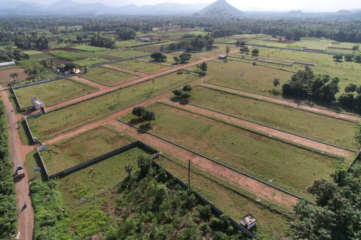  nandanavanam visishta Plot