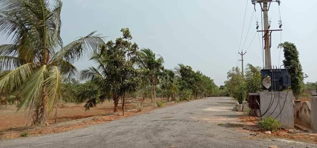  nandanavanam visishta Plot