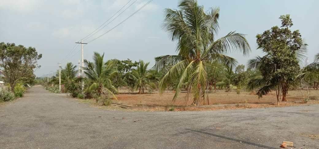  nandanavanam visishta Plot