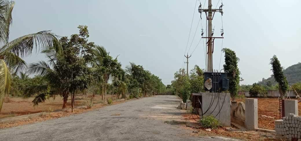  nandanavanam visishta Plot