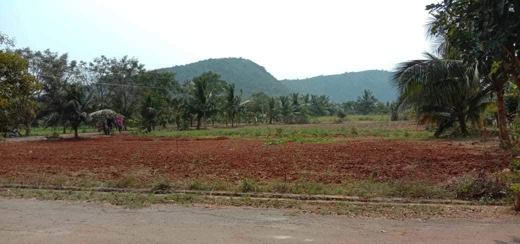  nandanavanam visishta Plot