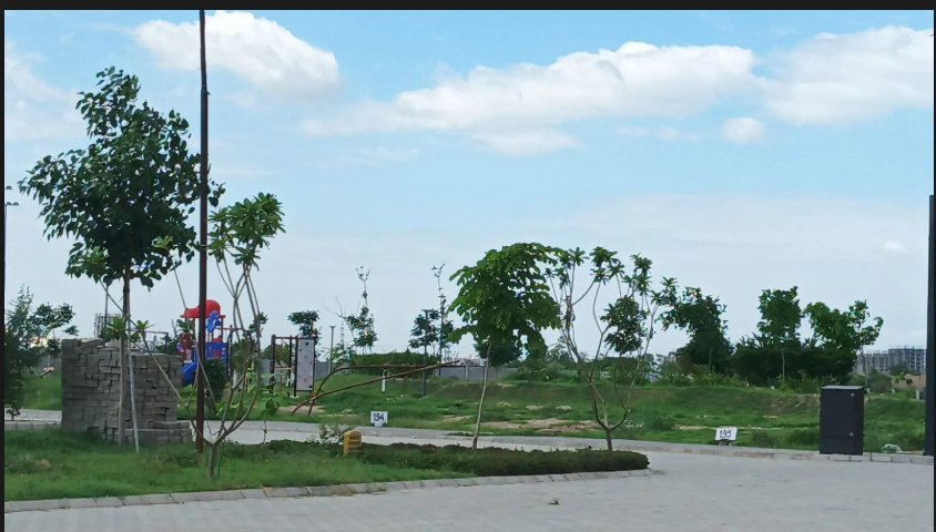  oyster greens phase 1 Construction Status Dec 24