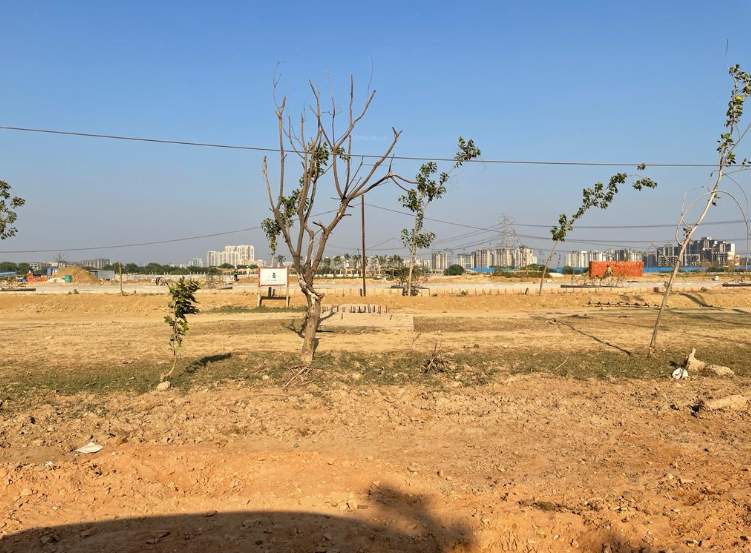  oyster greens phase 1 Construction Status June 25