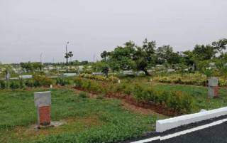 Project Image Project Image