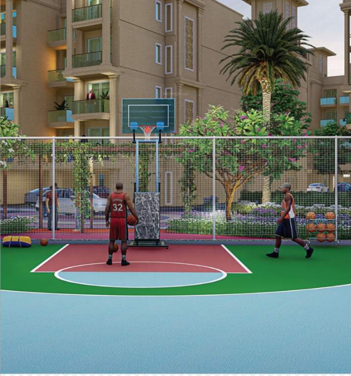  sector 37d phase 2 Basketball Court