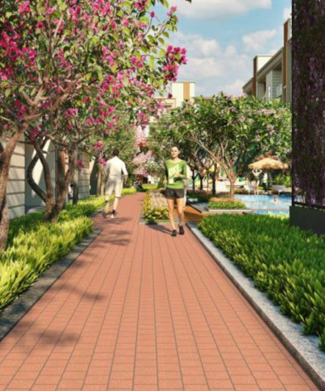  sector 37d phase 2 Jogging Track