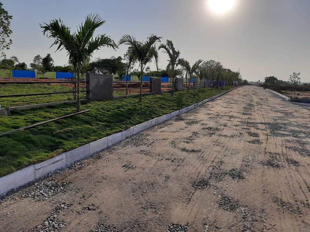  amara county Plot