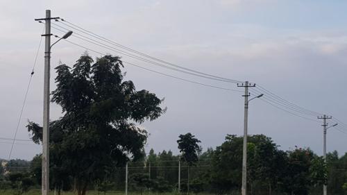  green-avenue Landscape Garden and Tree Planting