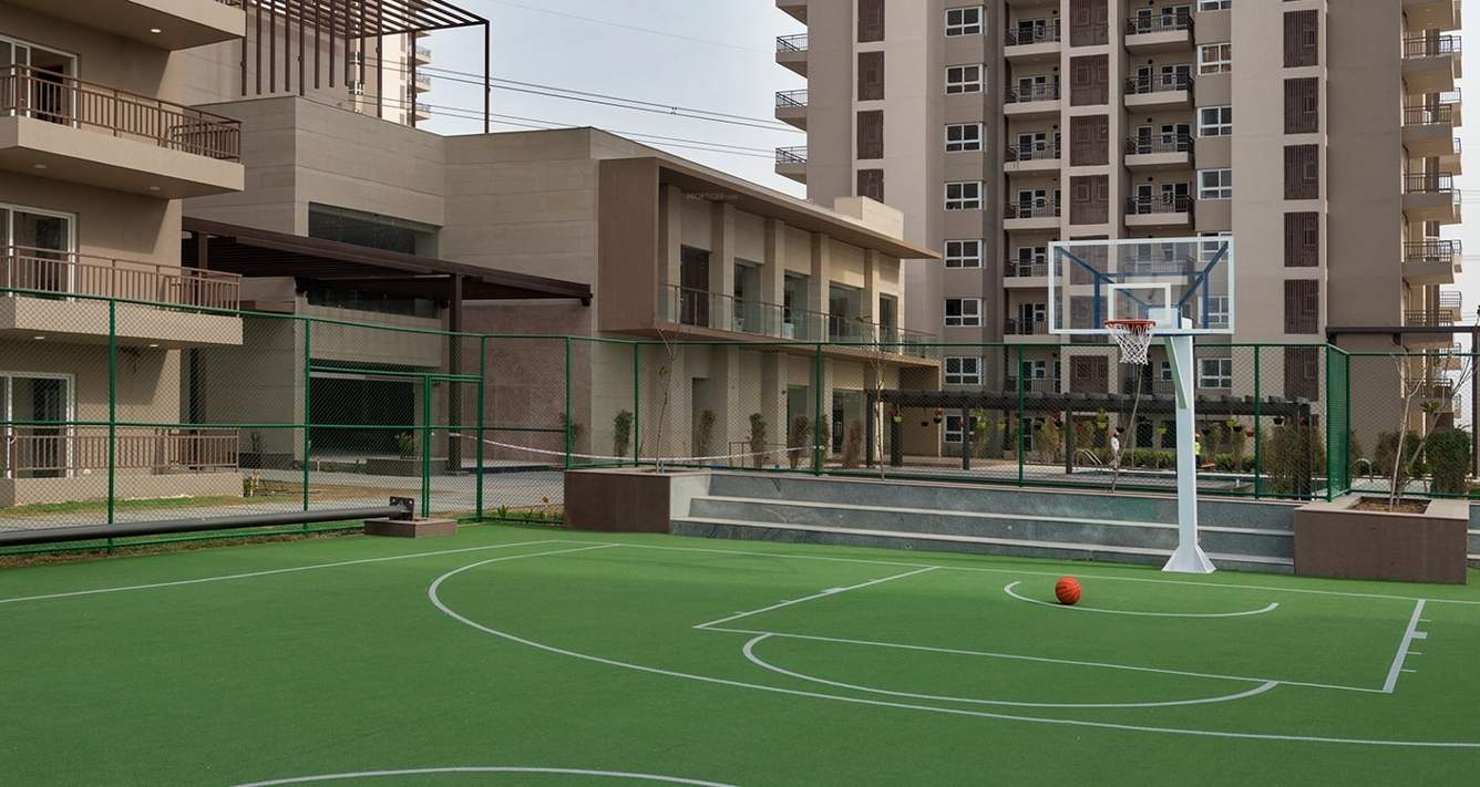 oyster grande tower h Basketball Court