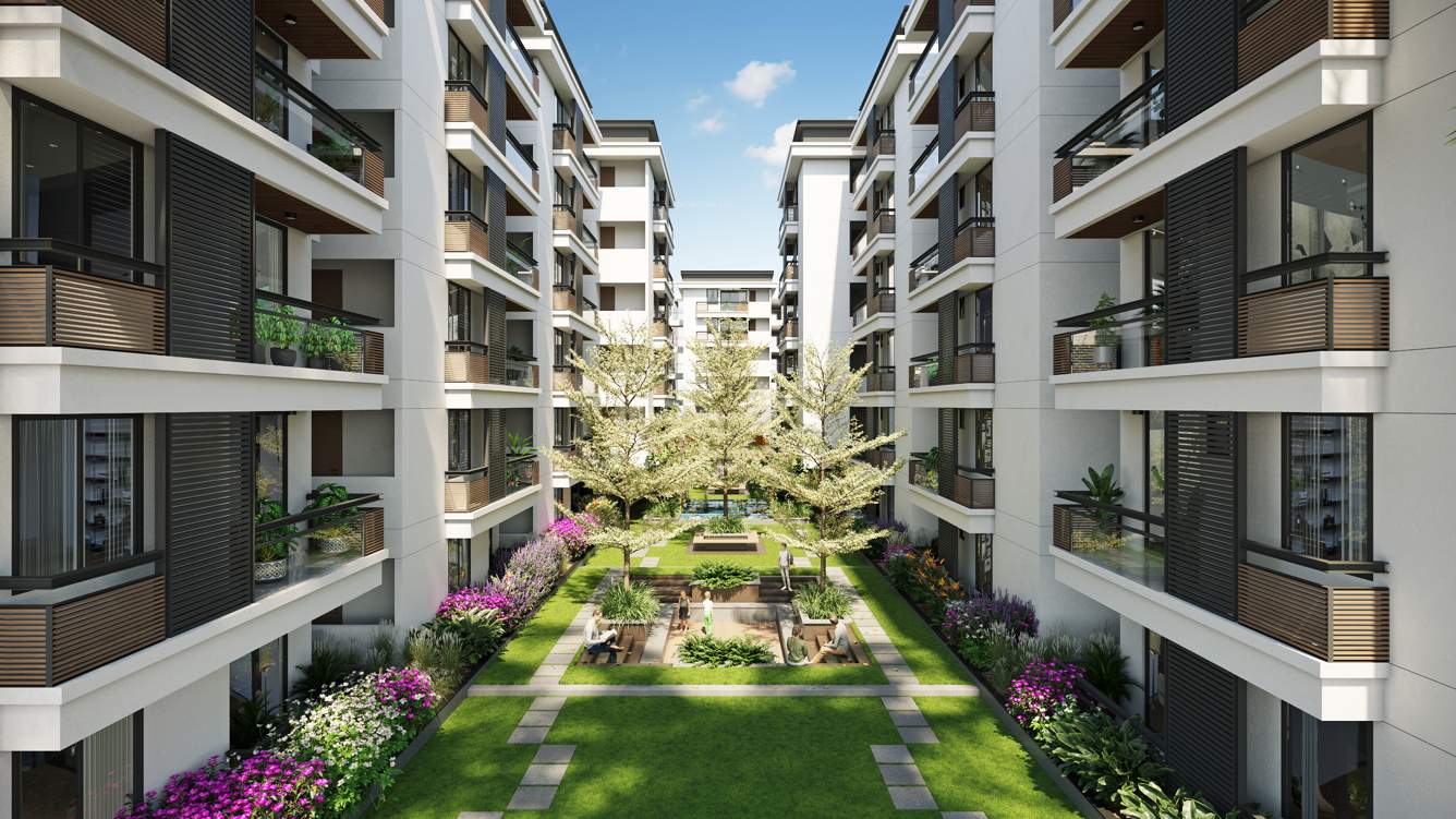  happiness hub Senior Citizen Siteout