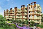 Green Pailan 2