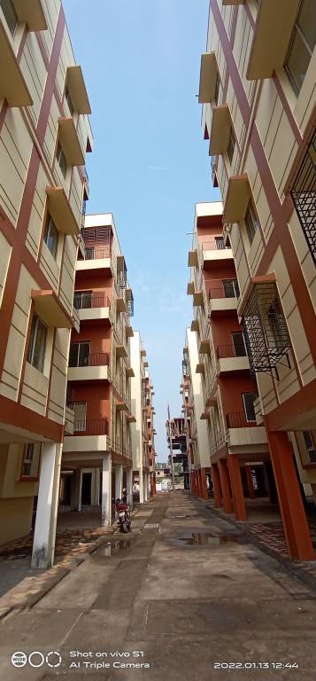  green pailan 2 Elevation