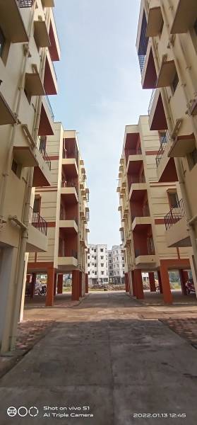  green-pailan-2 Paved Compound