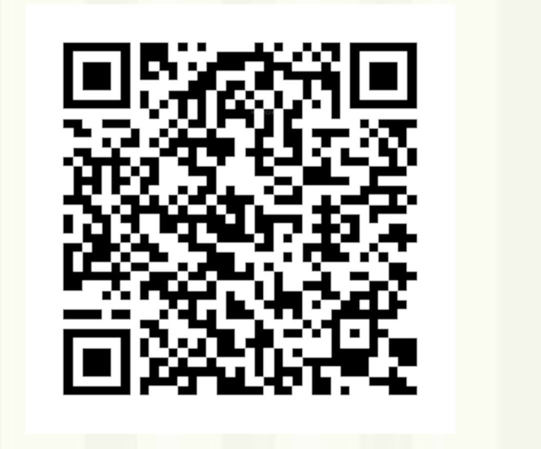 QR Image