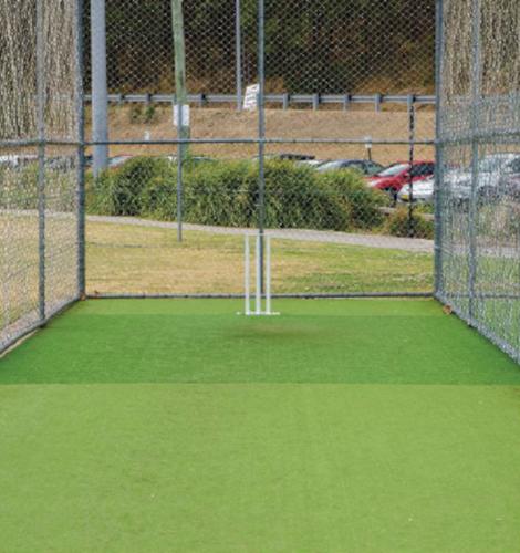  century-seasons Cricket Pitch