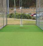 Cricket Pitch  century-seasons Cricket Pitch