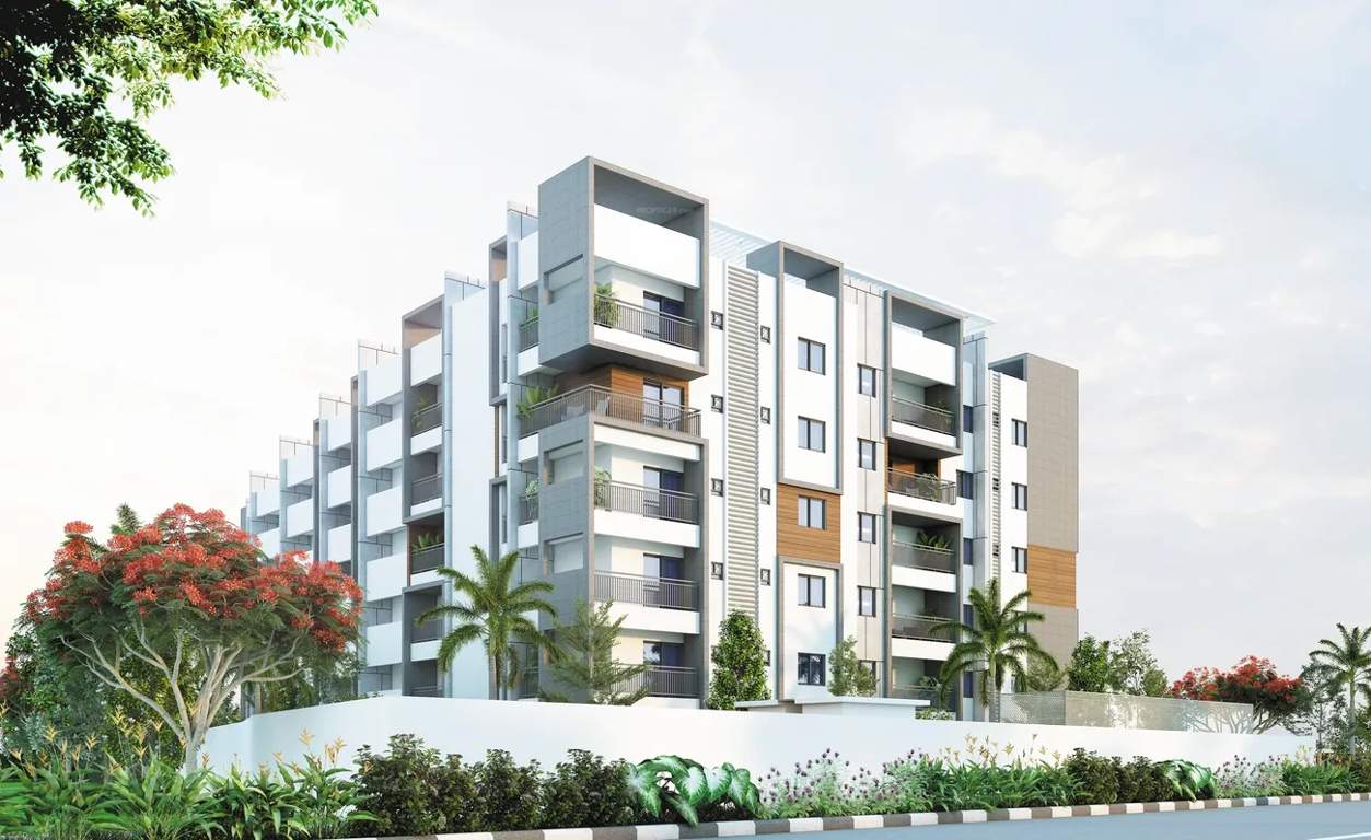  harsha classic Elevation