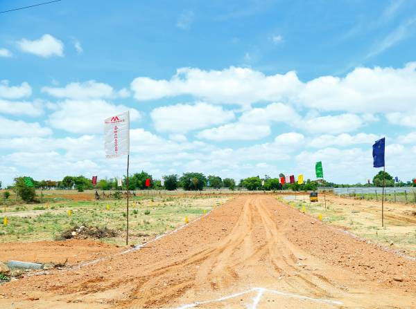  highway-county Elevation