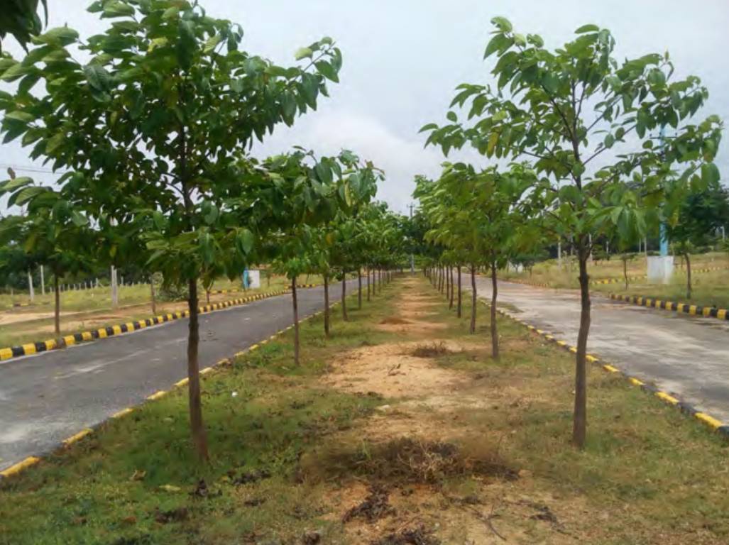  eastern heights Internal Roads & Footpaths