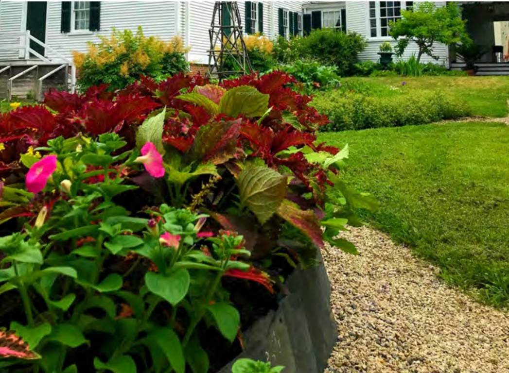  eastern heights Landscape Garden and Tree Planting