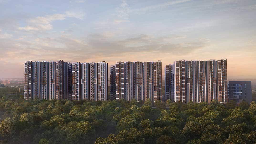  a2a homeland Elevation