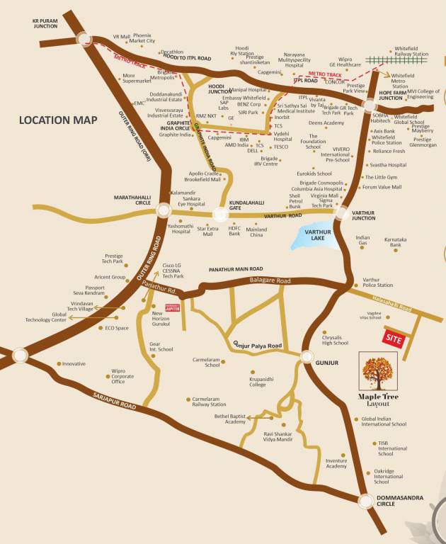  mapple tree Location Plan