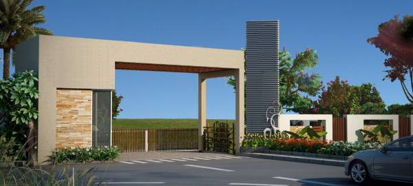  mapple-tree Elevation