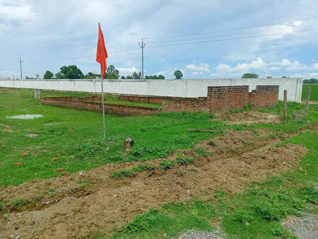  the sage county Plot