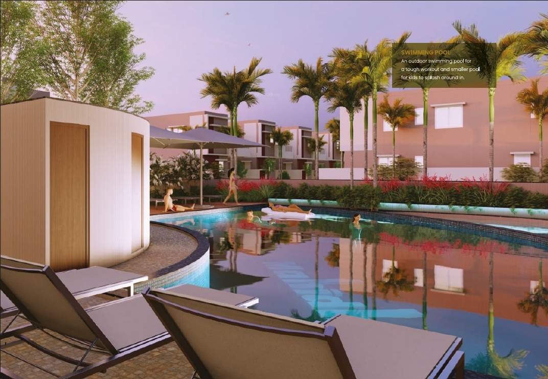  paradise Swimming Pool