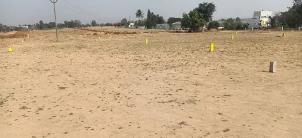  true-diamond-burgula Elevation