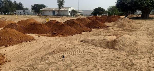  true-diamond-burgula Plot