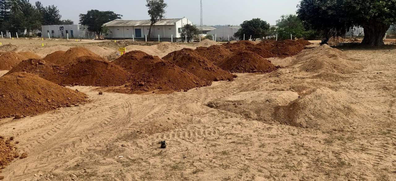  true diamond burgula Plot