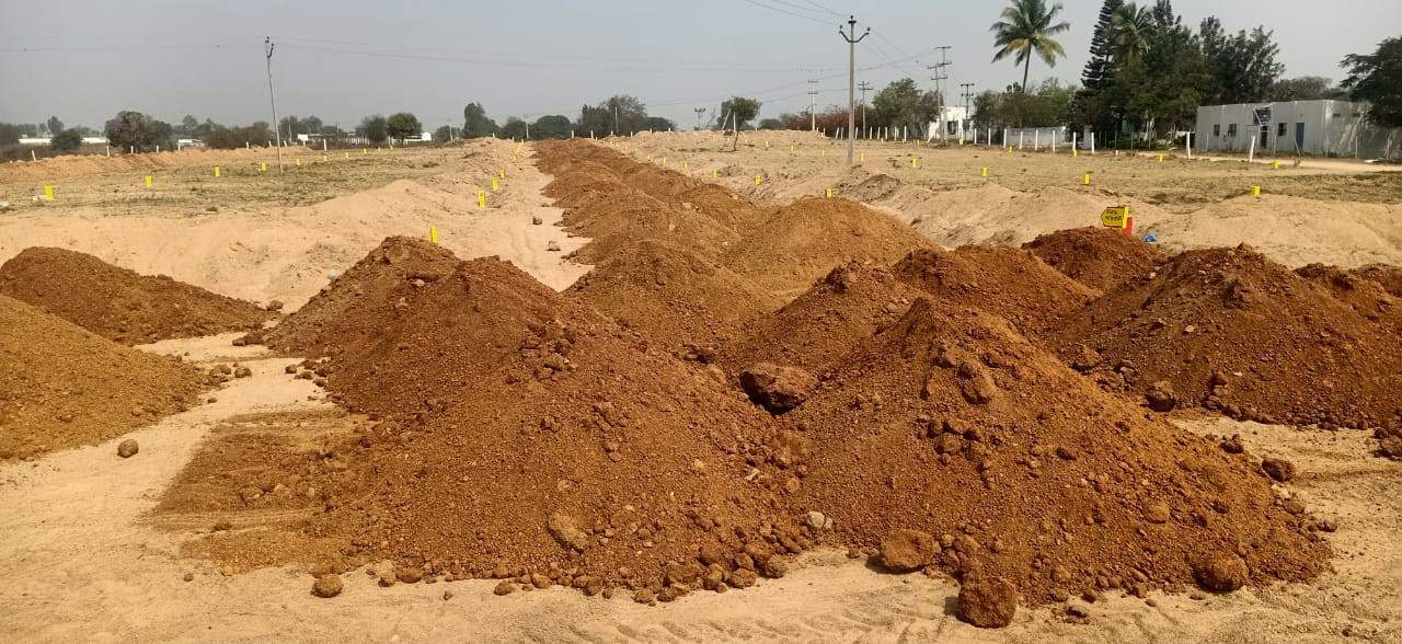  true diamond burgula Plot