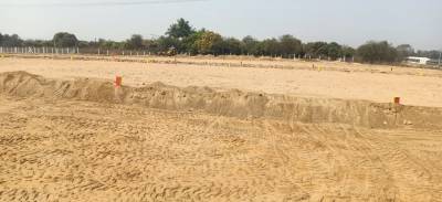  true-diamond-burgula Plot