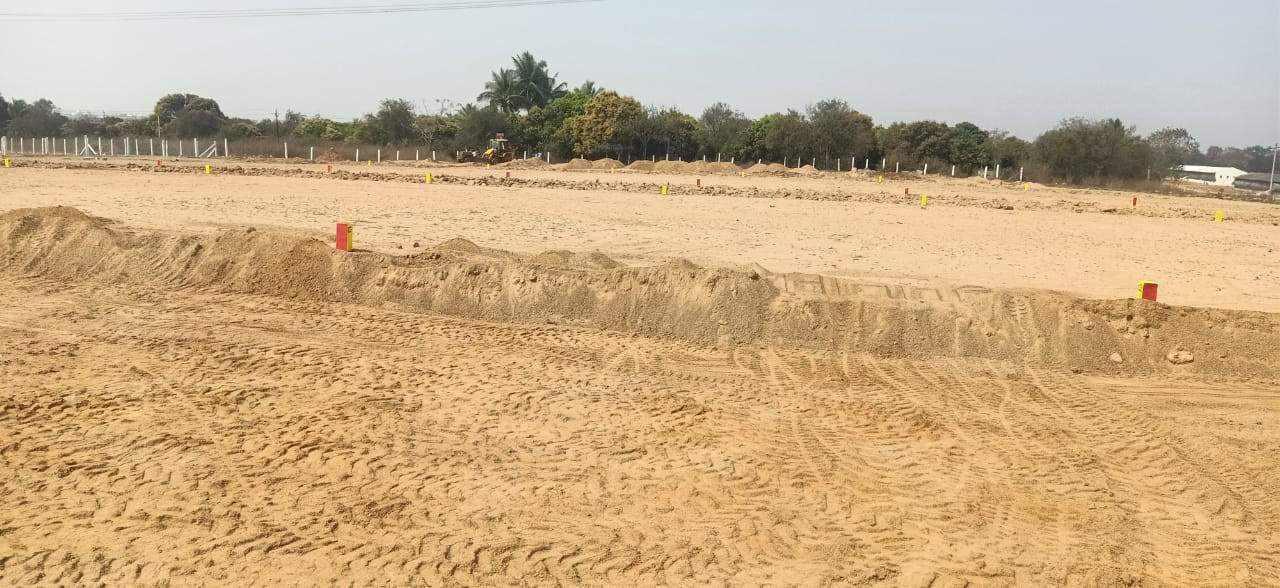  true diamond burgula Plot