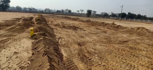  true-diamond-burgula Plot