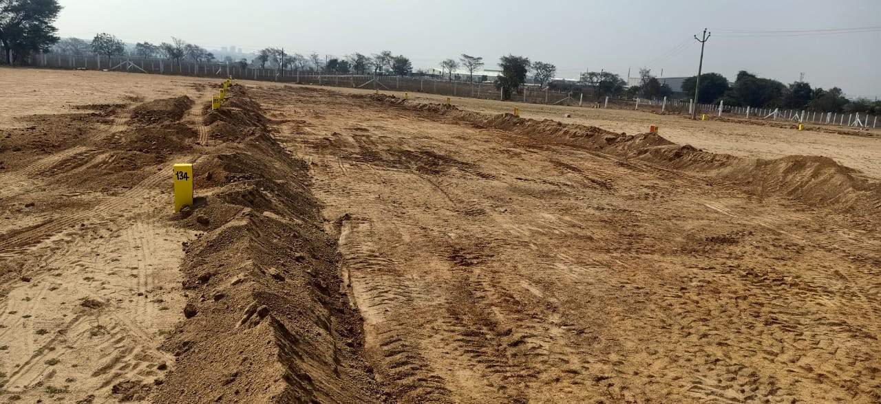  true diamond burgula Plot