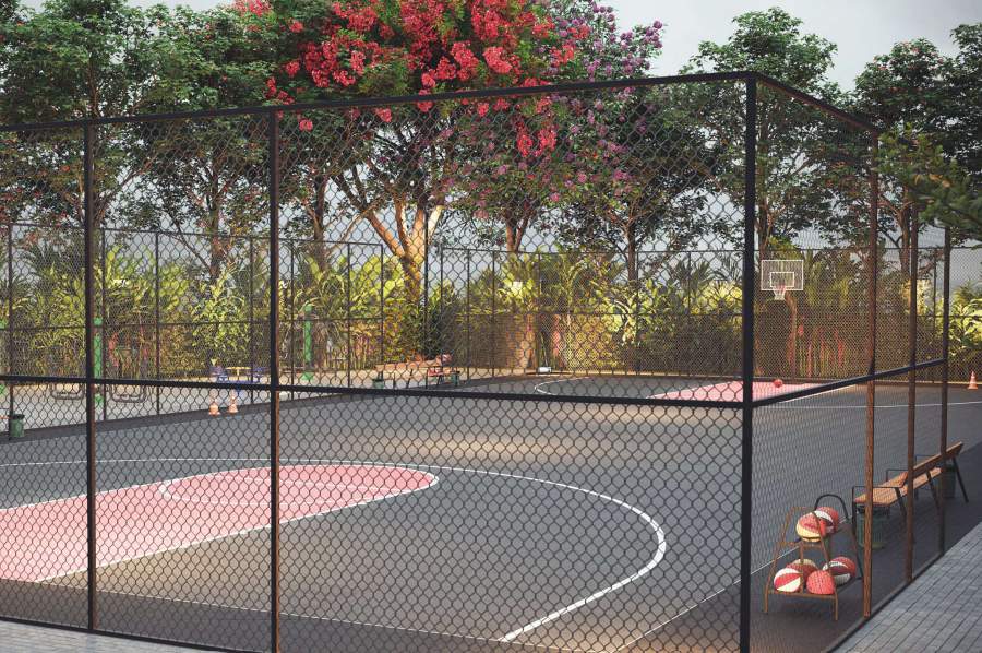  meadows Basketball Court