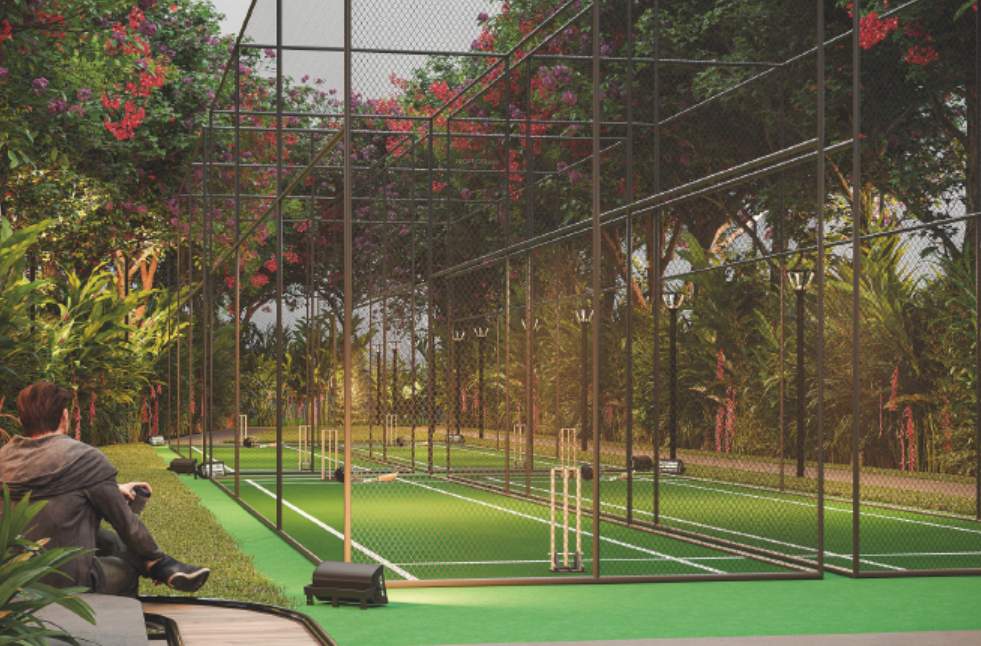  meadows Cricket Pitch
